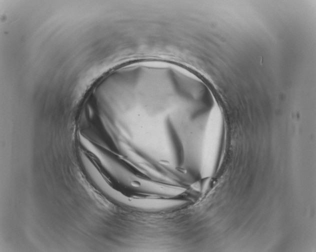 X0000088891507200706291427