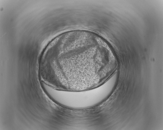 X0000088891508200706291427