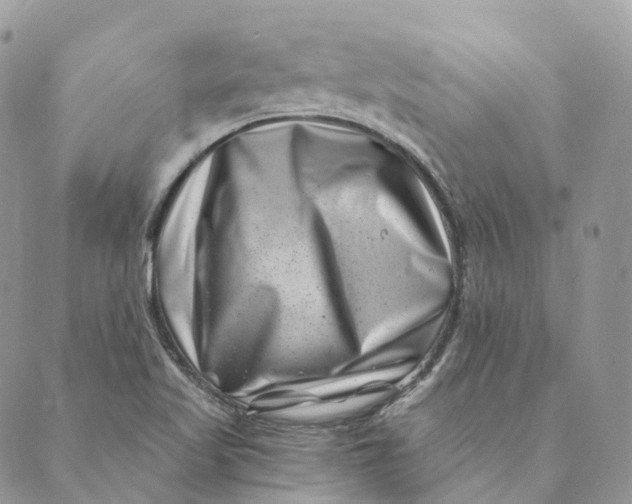 X0000088891509200706291427