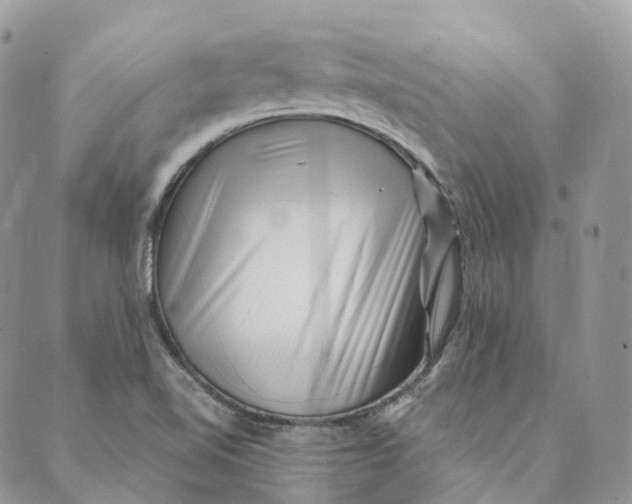 X0000088891510200706291427