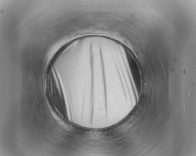 X0000088891511200706291427