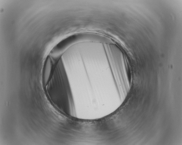 X0000088891512200706291427