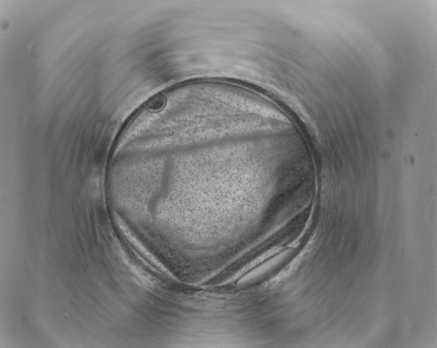 X0000088891513200706291427