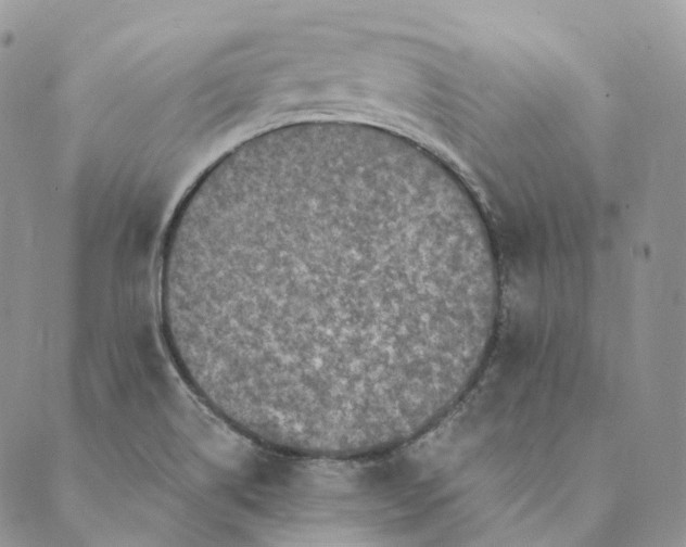 X0000088891514200706291427