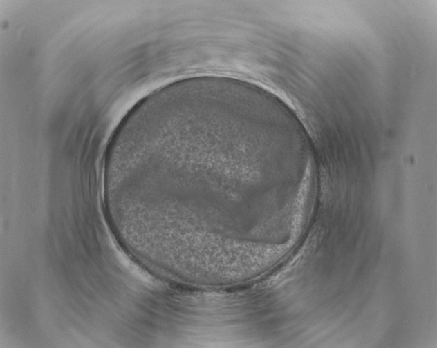 X0000088891515200706291427