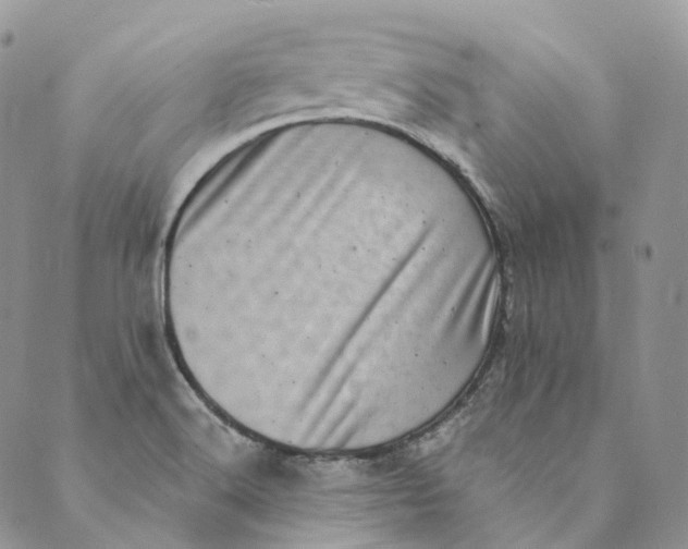 X0000088891516200706291427