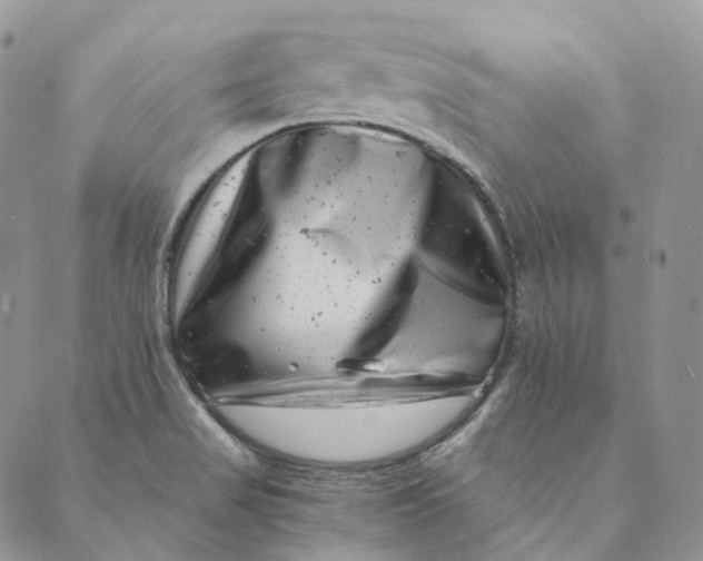 X0000088891517200706291427