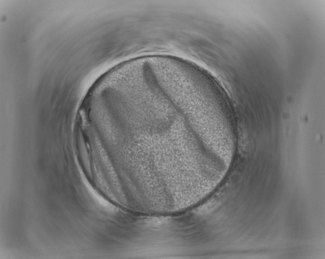 X0000088891519200706291427