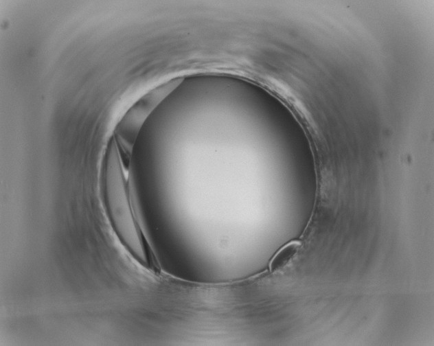 X0000088891520200706291427