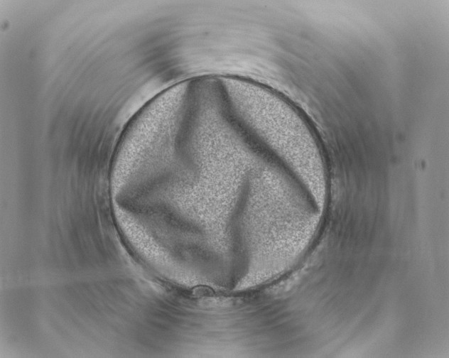 X0000088891521200706291427