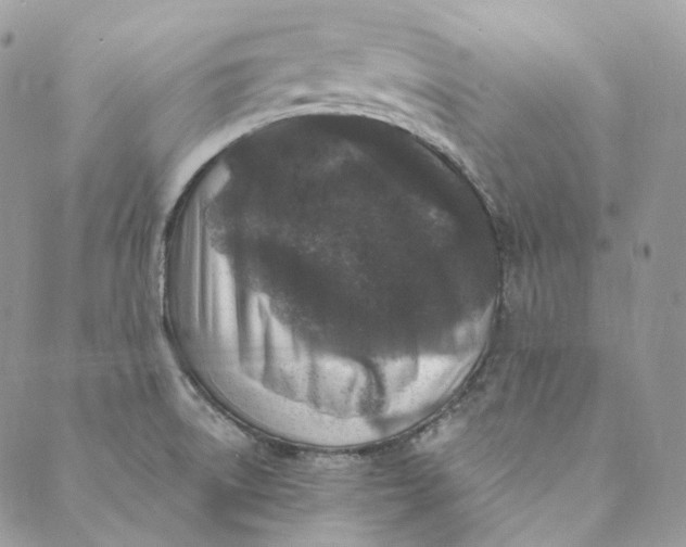 X0000088891522200706291427