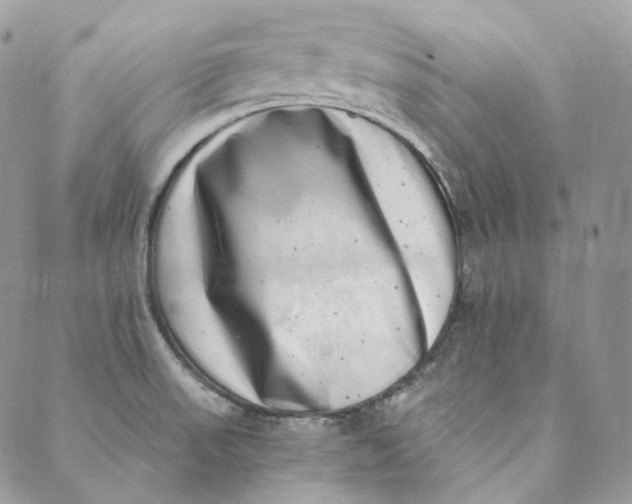 X0000088891523200706291427