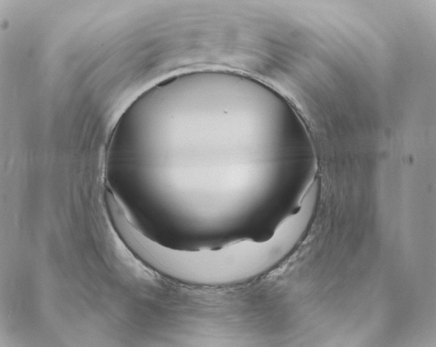 X0000088891524200706291427