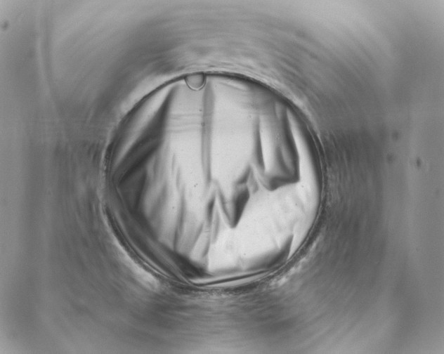 X0000088891525200706291427