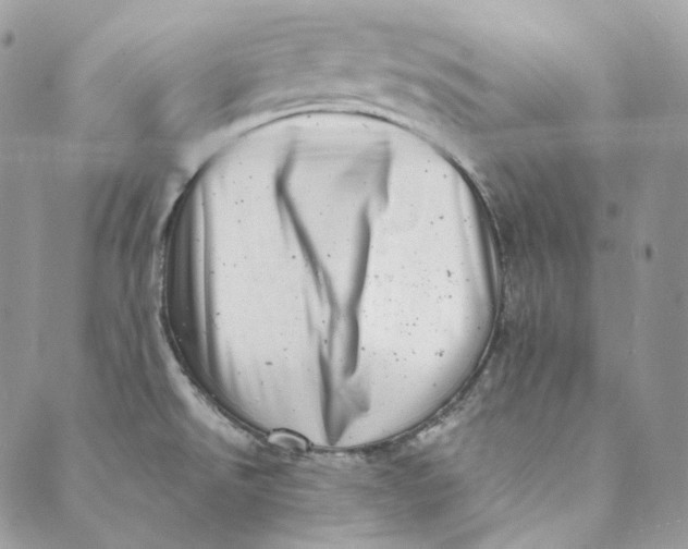 X0000088891526200706291427