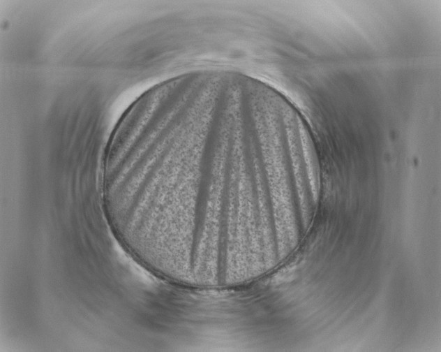 X0000088891527200706291427