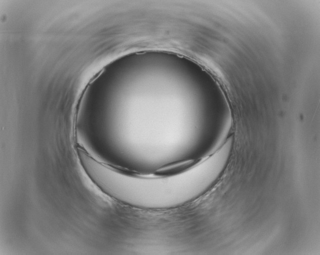 X0000088891528200706291427