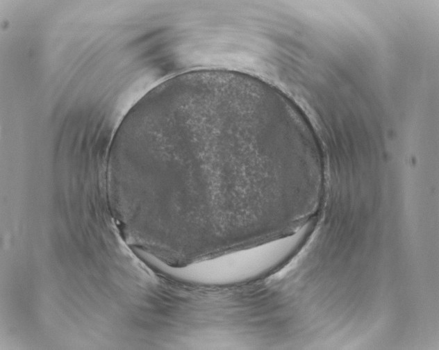 X0000088891529200706291427