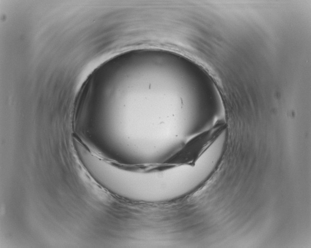 X0000088891530200706291427