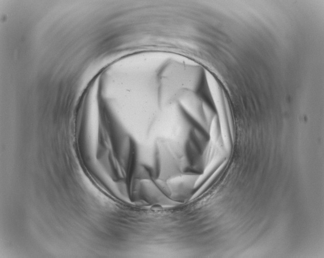 X0000088891531200706291427