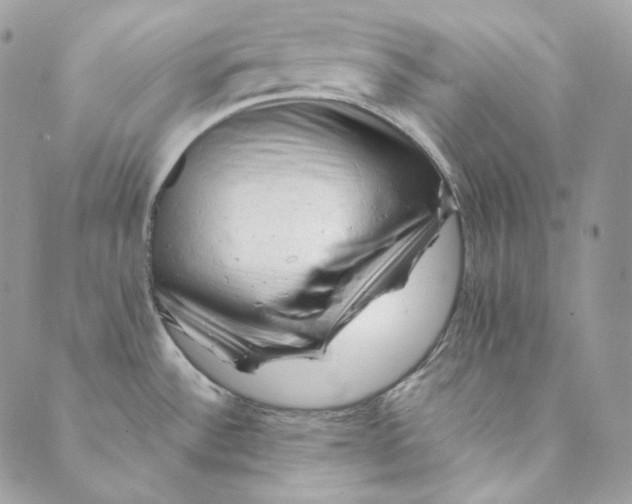 X0000088891532200706291427