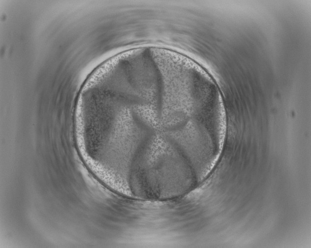 X0000088891534200706291427