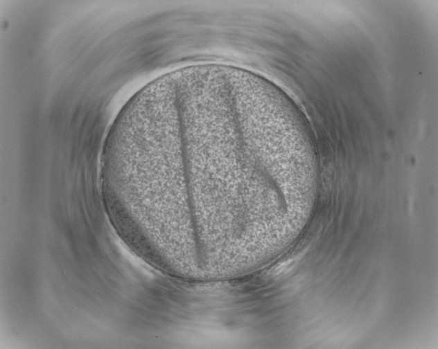 X0000088891535200706291427