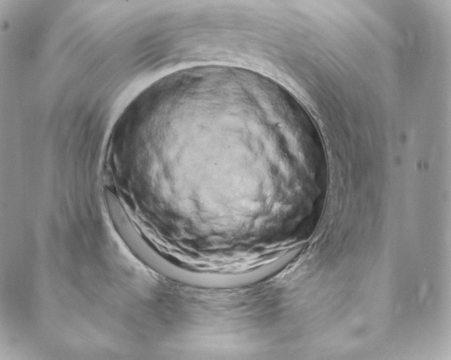 X0000088891536200706291427