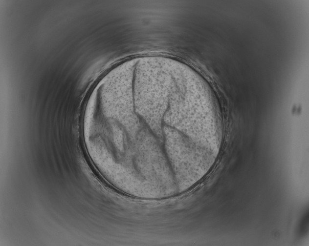 X0000088890002200707061442