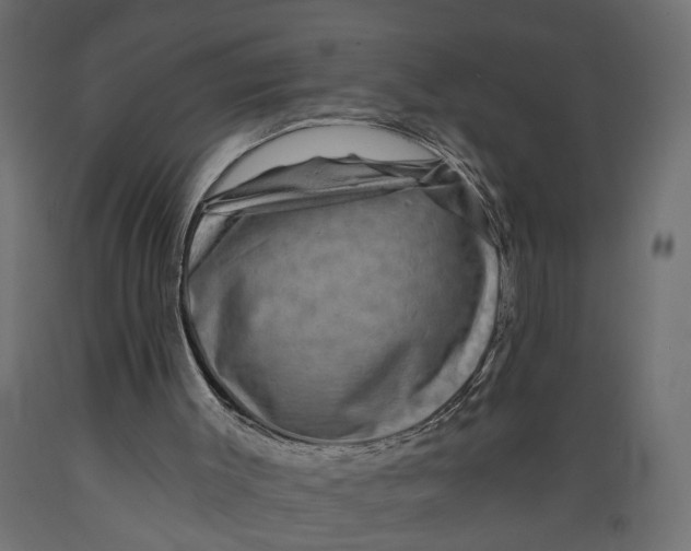 X0000088890003200707061442