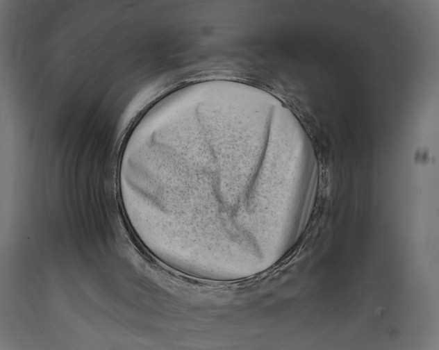 X0000088890004200707061442