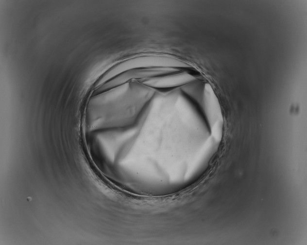 X0000088890005200707061442