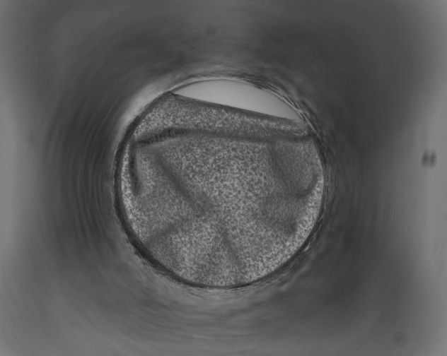 X0000088890006200707061442