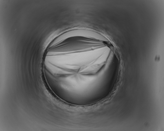 X0000088890007200707061442