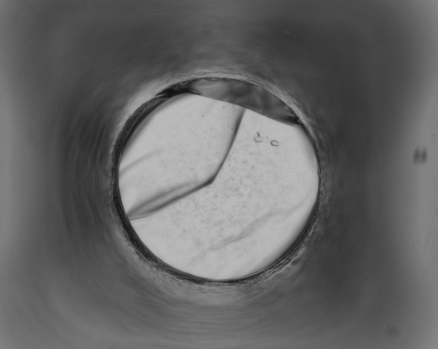X0000088890008200707061442