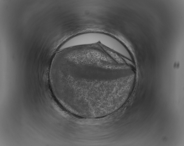 X0000088890009200707061442