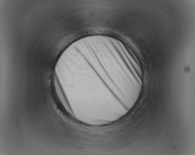 X0000088890010200707061442