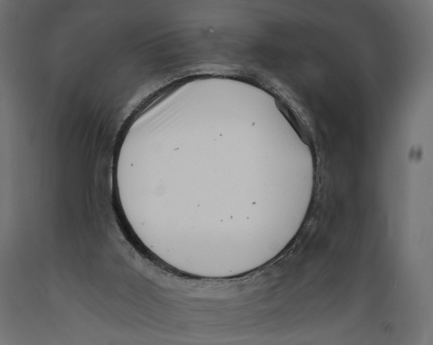 X0000088890011200707061442
