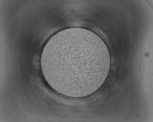 X0000088890012200707061442