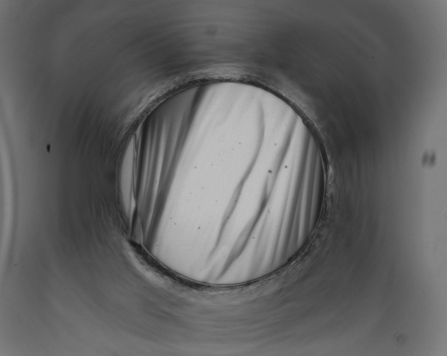X0000088890013200707061442