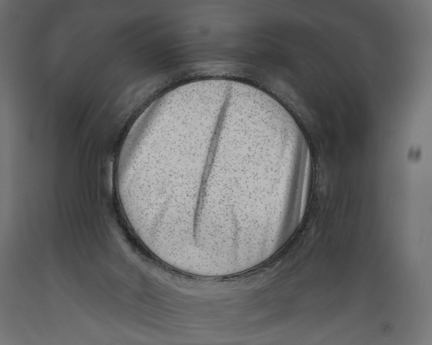 X0000088890014200707061442