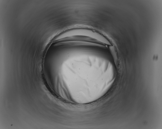 X0000088890015200707061442