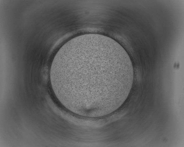 X0000088890016200707061442