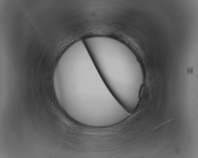 X0000088890017200707061442