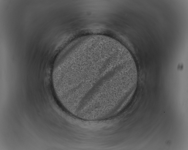 X0000088890018200707061442
