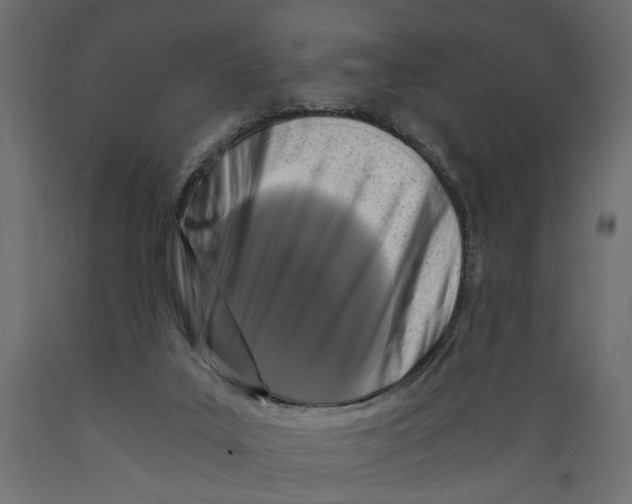 X0000088890019200707061442