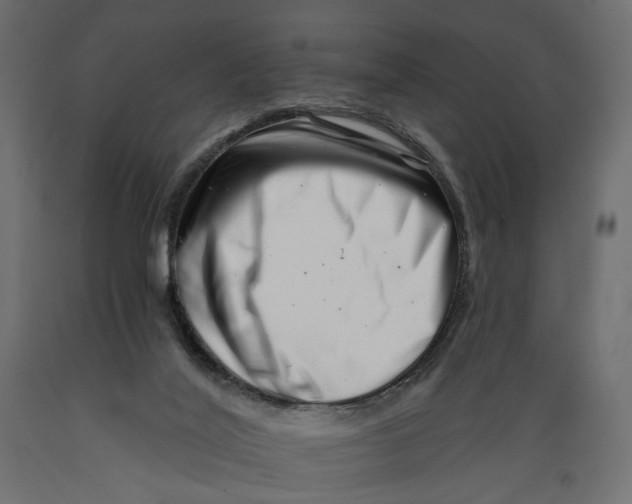 X0000088890020200707061442