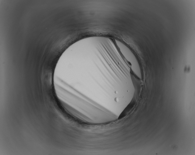 X0000088890021200707061442