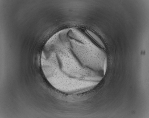 X0000088890022200707061442