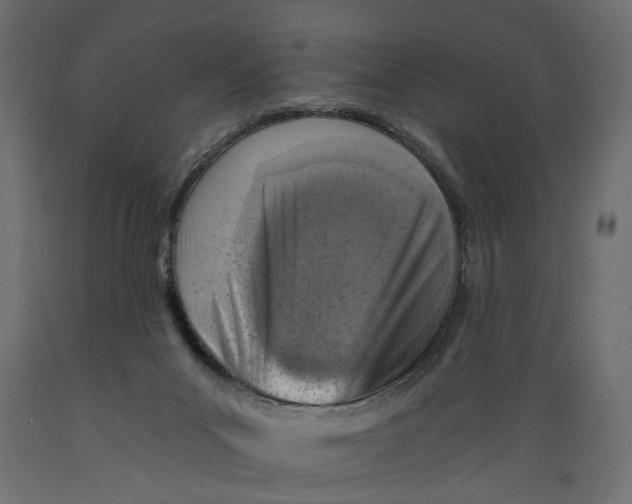 X0000088890023200707061442